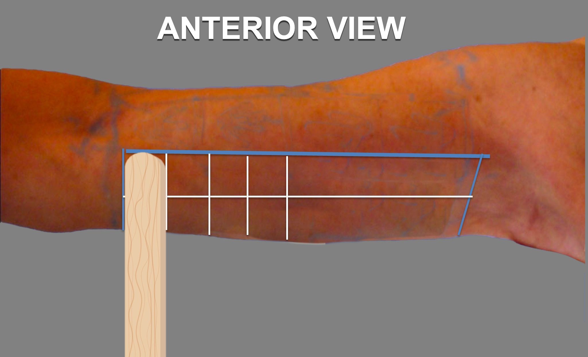 squares-division-step-3-2