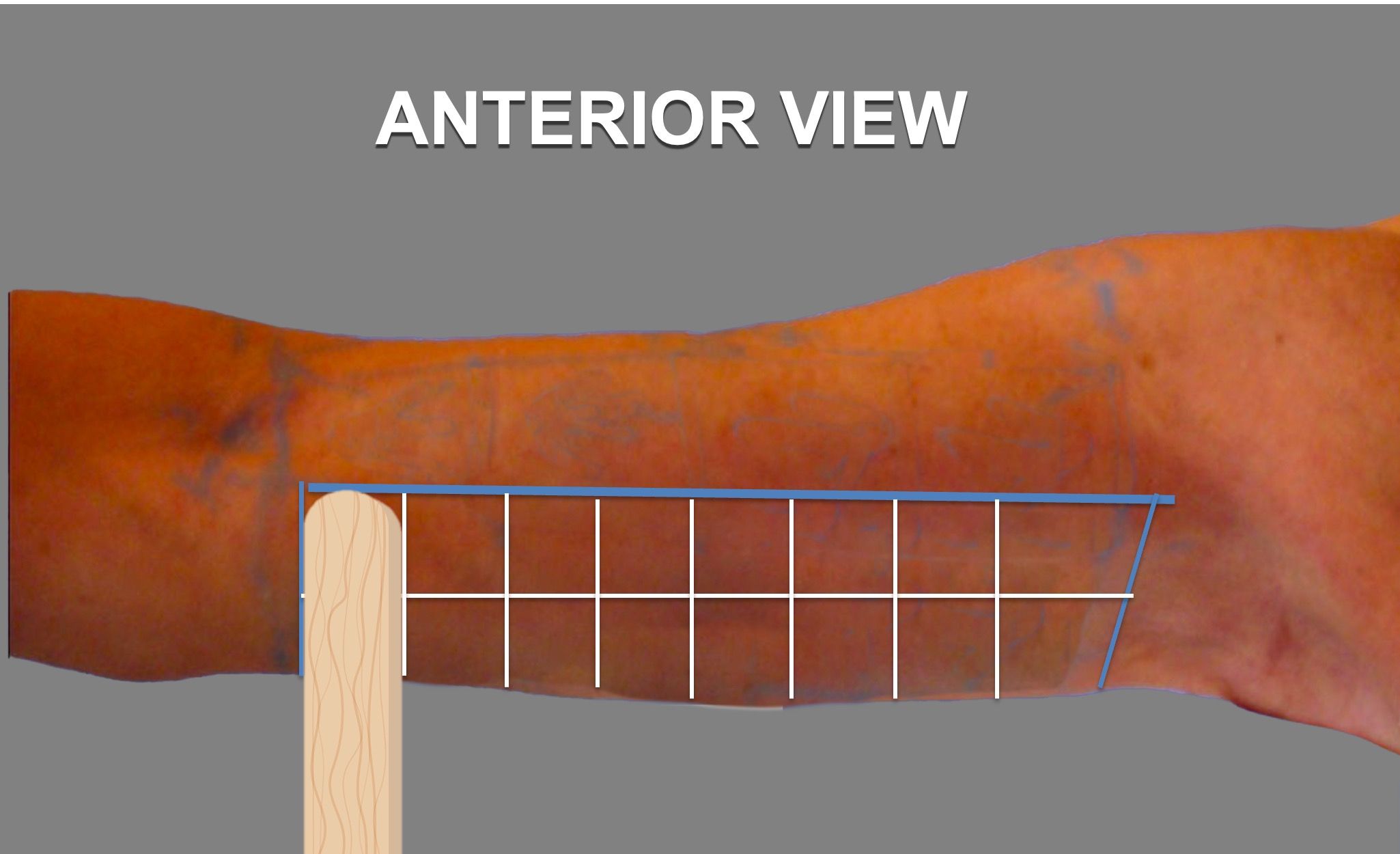 squares-division-step-3-3
